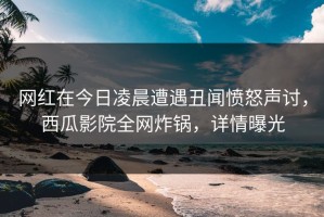 网红在今日凌晨遭遇丑闻愤怒声讨，西瓜影院全网炸锅，详情曝光