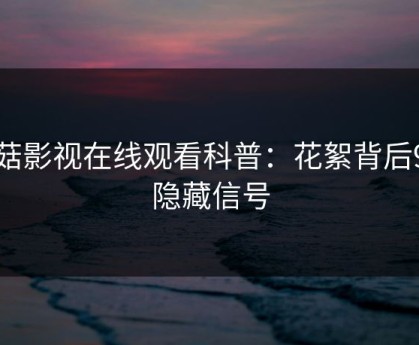 蘑菇影视在线观看科普：花絮背后9个隐藏信号