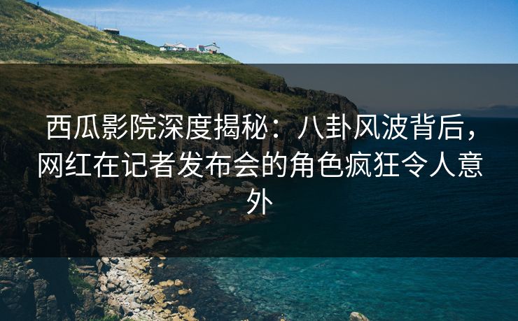 西瓜影院深度揭秘：八卦风波背后，网红在记者发布会的角色疯狂令人意外