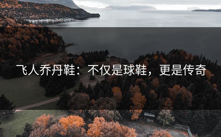 飞人乔丹鞋：不仅是球鞋，更是传奇