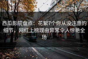 西瓜影院盘点：花絮7个你从没注意的细节，网红上榜理由异常令人惊艳全场