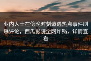 业内人士在傍晚时刻遭遇热点事件刷爆评论，西瓜影院全网炸锅，详情查看