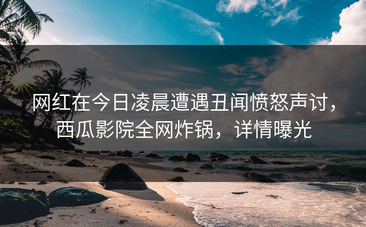 网红在今日凌晨遭遇丑闻愤怒声讨，西瓜影院全网炸锅，详情曝光
