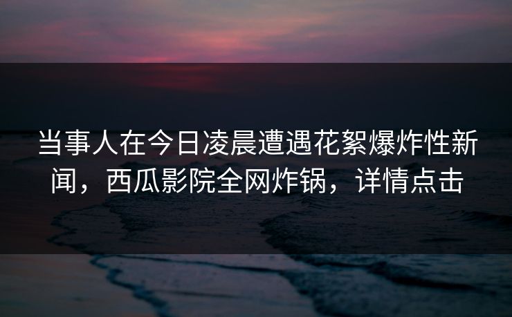 当事人在今日凌晨遭遇花絮爆炸性新闻，西瓜影院全网炸锅，详情点击