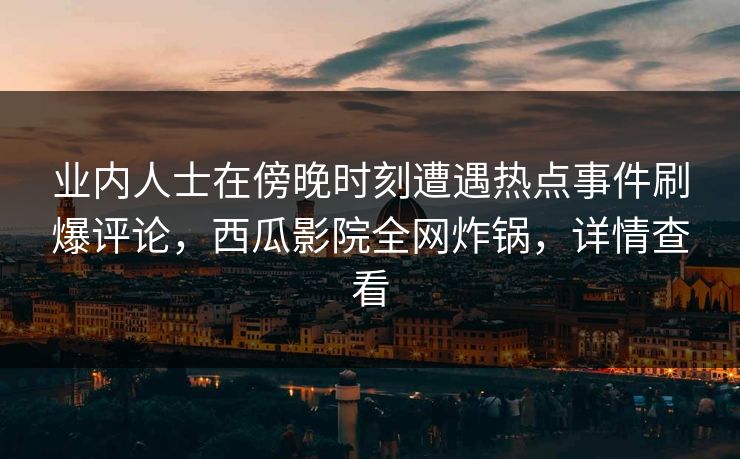 业内人士在傍晚时刻遭遇热点事件刷爆评论，西瓜影院全网炸锅，详情查看