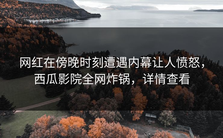 网红在傍晚时刻遭遇内幕让人愤怒，西瓜影院全网炸锅，详情查看