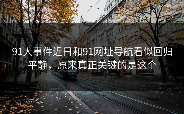 91大事件近日和91网址导航看似回归平静，原来真正关键的是这个
